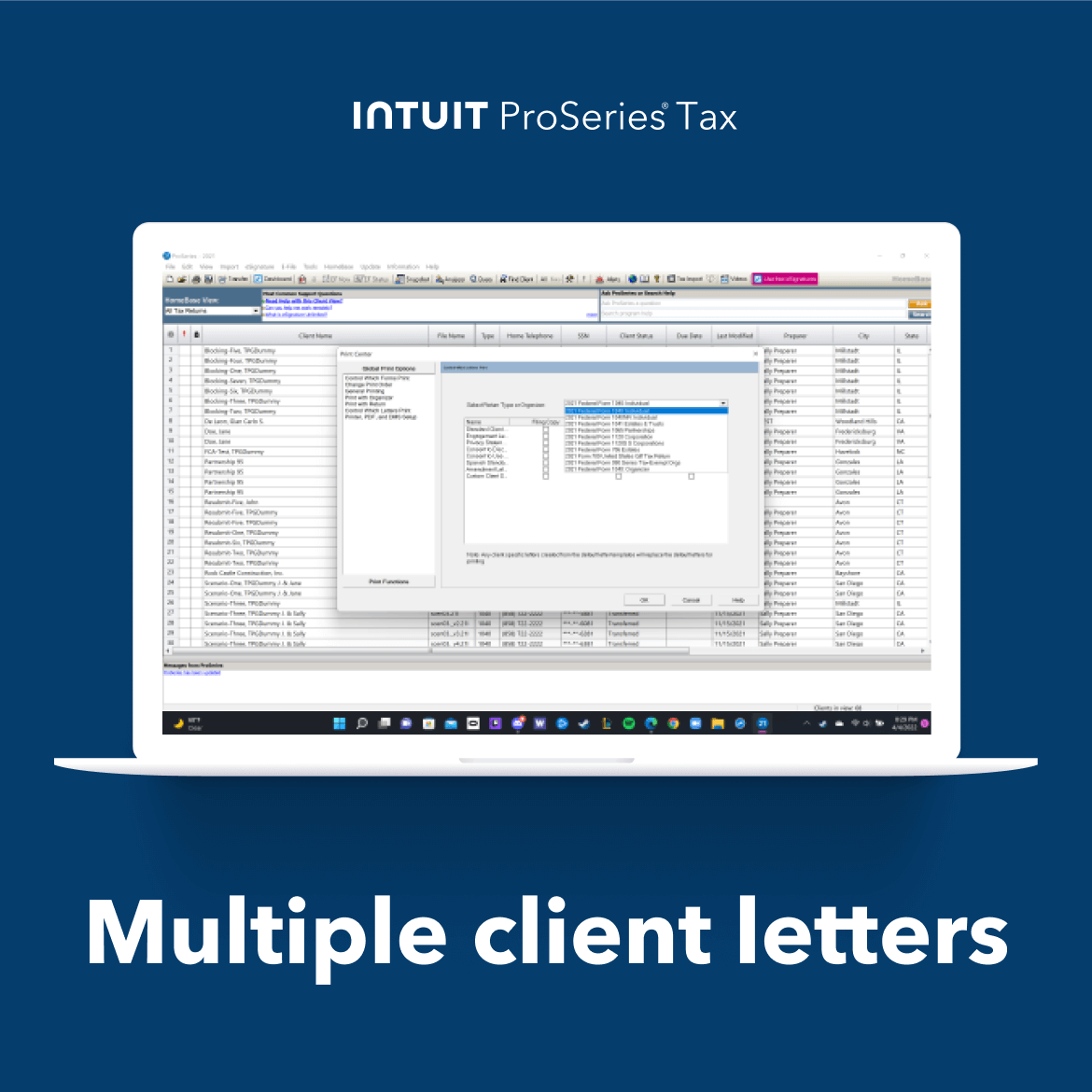 screenshot of ProSeries Tax